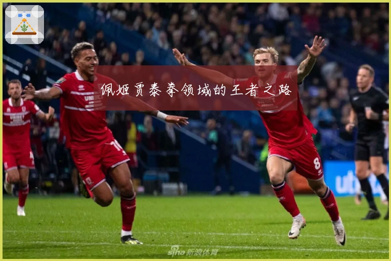 佩姬贾泰拳领域的王者之路