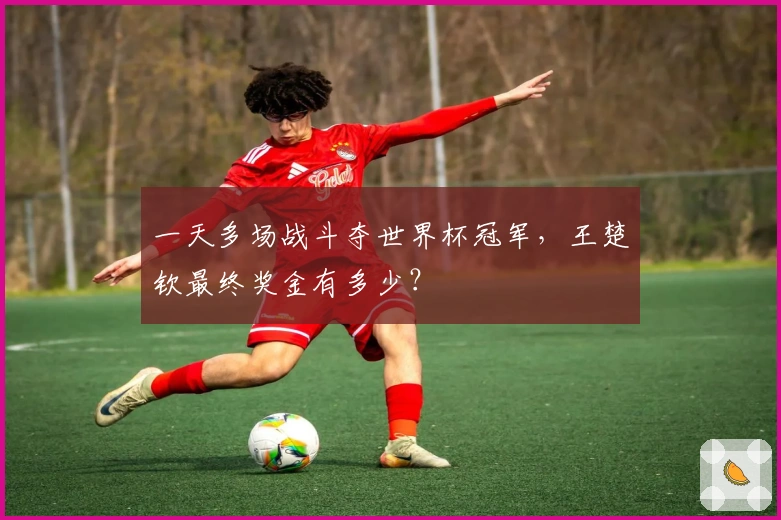 一天多场战斗夺世界杯冠军，王楚钦最终奖金有多少？