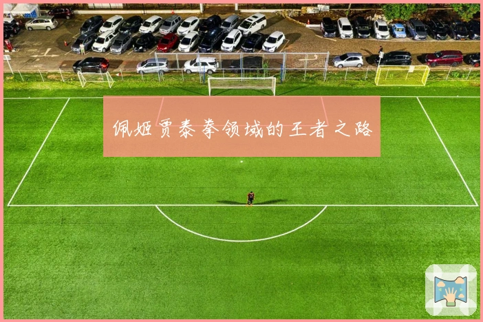 佩姬贾泰拳领域的王者之路